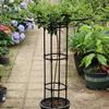 Trellis for Climbing Plants, Extendable Plastic and Rust-Resistant Metal, 210 cm view 3