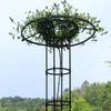 Trellis for Climbing Plants, Extendable Plastic and Rust-Resistant Metal, 210 cm view 4