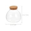 Round Terrarium Glass with Cork Stopper, 1 Pc, Transparent view 2
