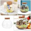 Round Terrarium Glass with Cork Stopper, 1 Pc, Transparent view 3