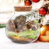 Round Terrarium Glass with Cork Stopper, 1 Pc, Transparent view 4