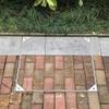 Stainless Steel 304 Flush-Mount Manhole Cover, 12/16/24/26/32/34/36/38/40 in view 3