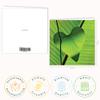 Valentine’s Card – Green Heart-Shaped Leaf Motif | Folded Card (15 x 15 cm) with Kraft Envelope, Blank Inside view 2