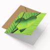 Valentine’s Card – Green Heart-Shaped Leaf Motif | Folded Card (15 x 15 cm) with Kraft Envelope, Blank Inside view 3