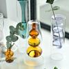 Double-Walled Green Borosilicate Glass Vase for Plants and Flowers view 3
