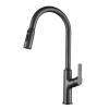 TYMYW Pull-Down Kitchen Faucet with Sprayer, 3 Modes, Single Handle, 360° Swivel, Brass, Gray view 1