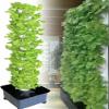 Hydroponic Tower System for Efficient Vertical Growing view 1