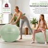 Body & Mind 65 cm Exercise Ball, Anti-Burst Pezzi Ball for Pregnancy view 3