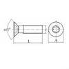 20 Torx Screws for M2, M2.5, M3, M3.5, and M5 Carbide Inserts for CNC Lathes (M4 x 8) view 4