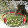 Ejoyous Nut Gatherer and Walnut Picker Roller, 44.7-Inch 3-Piece Stainless Steel Tool for Acorns and Pecans, Large Size 1.69 x 9.06 Inches view 2