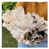 VWWJCCRO 1-Piece 2–2.5 kg White Quartz Crystal Cluster for Home Office view 3