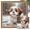 Aukojoy Shih Tzu Full 11CT Stamped Cross-Stitch Kit, 40 x 40 cm, for Adult Home Decor view 1