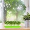 Housoutil 3-Pack Green Plastic Seedling Trays for Peas and Herbs view 3