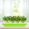 Housoutil 3-Pack Green Plastic Seedling Trays for Peas and Herbs view 4