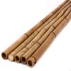 1 Moso Bamboo Cane, Phyllostachys pubescens, Carbonized, 300 cm, 3–4 cm Diameter, Yellow-Brown, 1 kg view 1