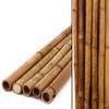 1 Moso Bamboo Cane, Phyllostachys pubescens, Carbonized, 300 cm, 3–4 cm Diameter, Yellow-Brown, 1 kg view 3