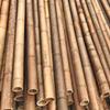 1 Moso Bamboo Cane, Phyllostachys pubescens, Carbonized, 300 cm, 3–4 cm Diameter, Yellow-Brown, 1 kg view 4