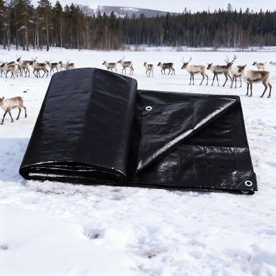 Waterproof Tent Tarp with Eyelets, 100 x 420 cm, Black