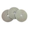 SHENGG 7-Piece 100 mm (4 in) Flexible Wet Polishing Pad Set view 2