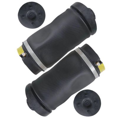 Mechanical Air Springs Compatible with Mercedes-Benz R-Class W251 V251 2006–2016, Rear Air Suspension, 2513200425
