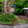Supvox Small Bridge Model, Mini Garden Decoration for Indoor Use view 4