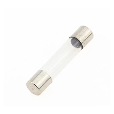 DNIEEEYBL Glass Fuses, 6 x 30 mm, 100-Pack, Fast-Blow, 250 V, 0.5–30 A, 6 x 30 (10)