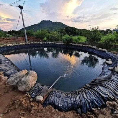 Rubber Pond Liner for Koi Ponds, Waterfalls and Water Features, 7.9 mm Thick, Black, 60 Sizes, Weather-Resistant