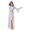 Brxmpn Belly Dance Dress, Sexy Belly Dancer Costume, Summer, Beach, Halloween and Dance Club Outfit view 2