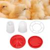 Naroote Chicken Feeder and Waterer Combination, Sturdy Automatic Poultry Water Dispenser for Chicks and Pigeons, 160 g/5.6 oz, Plastic view 2