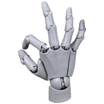 Whyzsjnclg Articulated Hand Model with Base, Gray