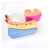 3-Part Enlarged Human Tracheal Wall and Larynx Anatomical Model view 4