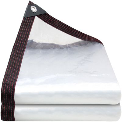 Transparent Tarp with Grommets, 100 x 575 cm, 80 g/m²