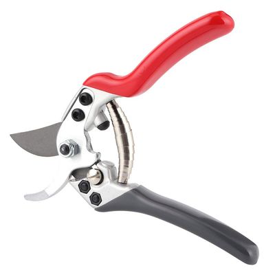 RhineCart Basics Garden Pruning Shears, Carbon Steel Trimming Shears for Fruit Trees, Flowers, and Bonsai