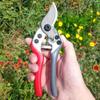 RhineCart Basics Garden Pruning Shears, Carbon Steel Trimming Shears for Fruit Trees, Flowers, and Bonsai view 2