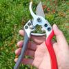 RhineCart Basics Garden Pruning Shears, Carbon Steel Trimming Shears for Fruit Trees, Flowers, and Bonsai view 4
