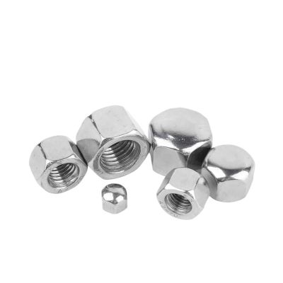 SHENGG 1–20 pcs 304 Stainless Steel Low-Profile Hex Cap Nuts M3 M4 M5 M6 M8 M10 M12 M14 M16 M20 (M6, 5 pcs)
