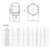 SHENGG 1–20 pcs 304 Stainless Steel Low-Profile Hex Cap Nuts M3 M4 M5 M6 M8 M10 M12 M14 M16 M20 (M6, 5 pcs) view 4