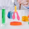 Human Lung Teaching Model for Education and Experiments view 4