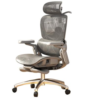 Mesh Office Chair with Footrest and Lumbar Support