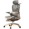 Mesh Office Chair with Footrest and Lumbar Support view 1