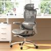 Mesh Office Chair with Footrest and Lumbar Support view 2