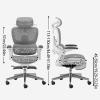 Mesh Office Chair with Footrest and Lumbar Support view 3