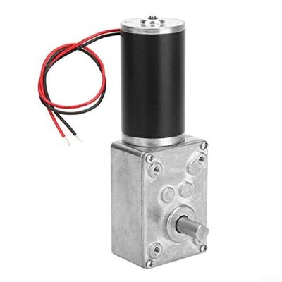 5840-31ZY Dual-Output Worm Gear Reducer DC Motor, 24 V, 160 rpm