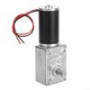 5840-31ZY Dual-Output Worm Gear Reducer DC Motor, 24 V, 160 rpm view 1