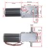 5840-31ZY Dual-Output Worm Gear Reducer DC Motor, 24 V, 160 rpm view 3