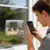 Bird Feeder Station with Sturdy Suction Cups, Garden Decor view 3