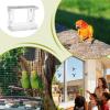 Bird Feeder Station with Sturdy Suction Cups, Garden Decor view 4