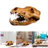ROYJJ Realistic Wolf Skeleton Model Replica for Home Décor, Museums, Exhibitions, and Educational Anatomy Displays view 2