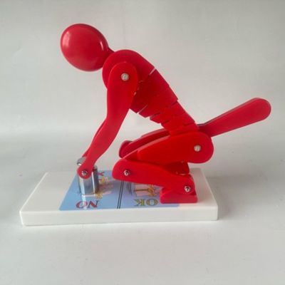 Spinal Load Model for Weightlifting, Teaching Aid for Demonstrating Forces on the Lumbar Spine (Red)