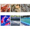 PVC Canvas Steel-Frame Pool with Drain Valve for Fish Tanks and Ponds view 3
